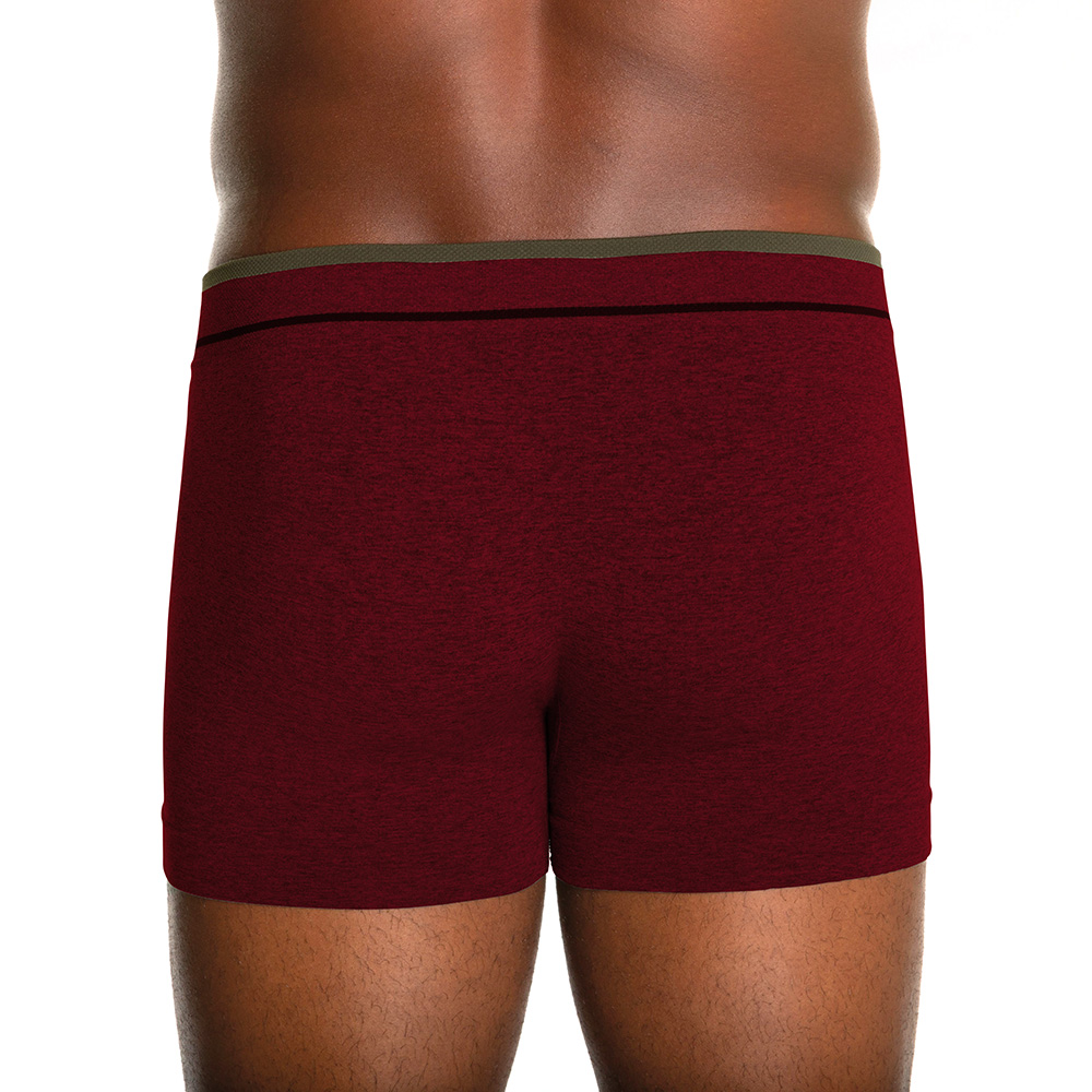 AF_00733-004-5903 - Cueca Lupo Boxer Fio Texturizado a Ar - Costas Modelo