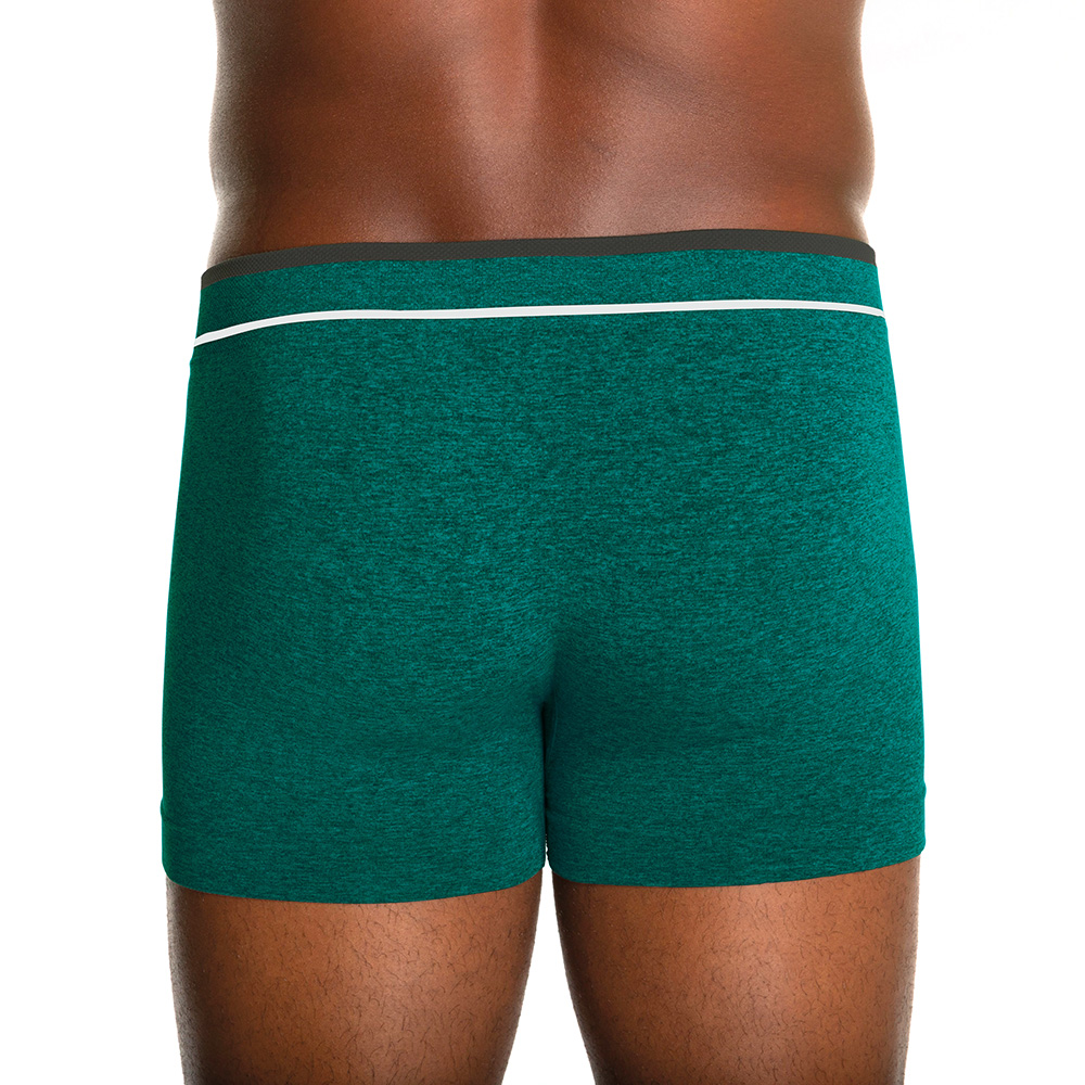 AF_00733-004-4427 - Cueca Lupo Boxer Fio Texturizado a Ar - Costas Modelo