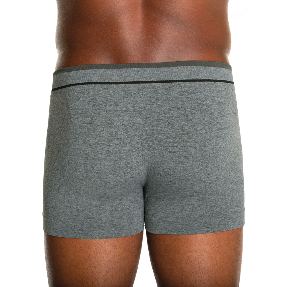 AF_00733-004-8230 - Cueca Lupo Boxer Fio Texturizado a Ar - Costas Modelo